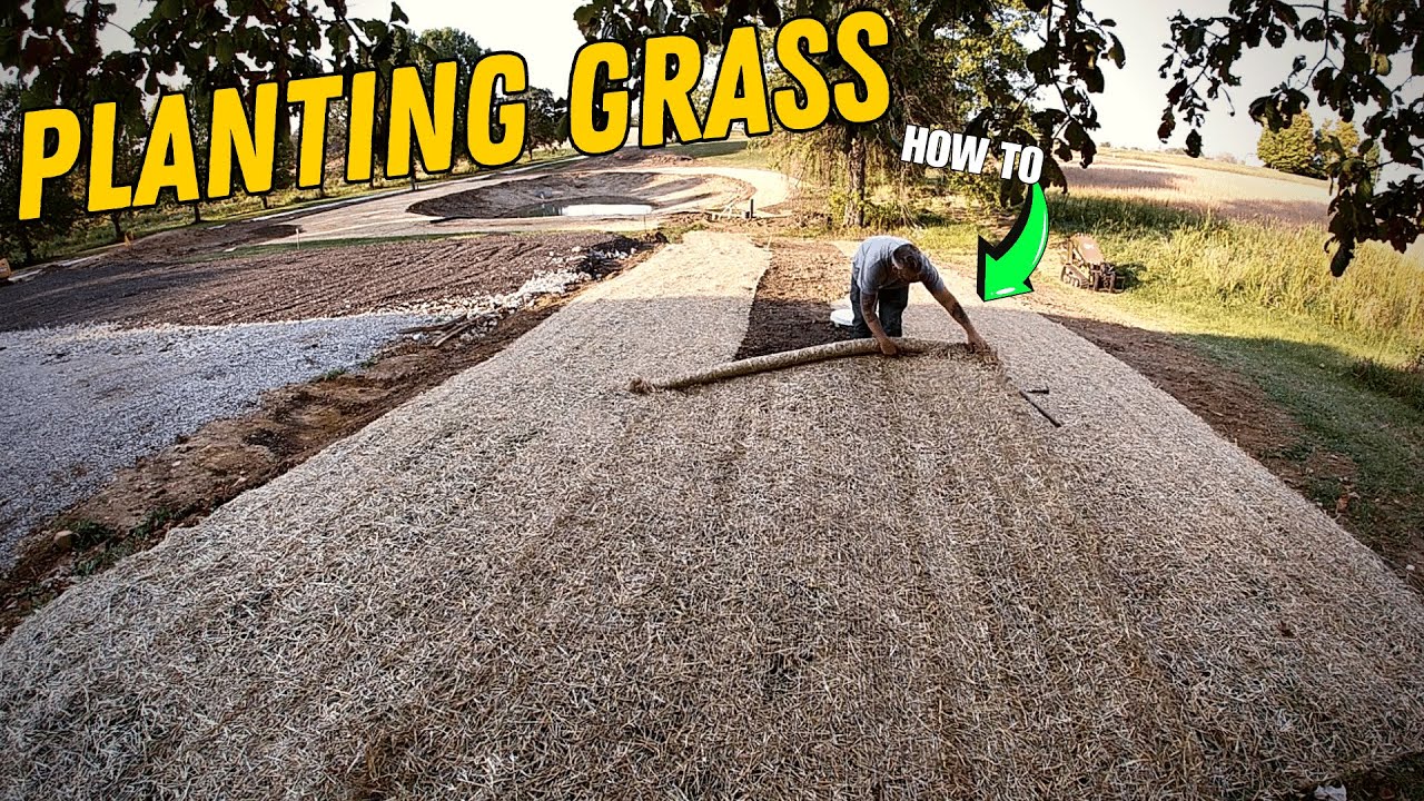 How to Plant Grass Seed Like a Pro! - YouTube