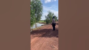 Cần bán nhanh DT 12 mẫu đất lúa giá 115 triệu 1 công thuộc huyện Thạnh hóa tỉnh Long An