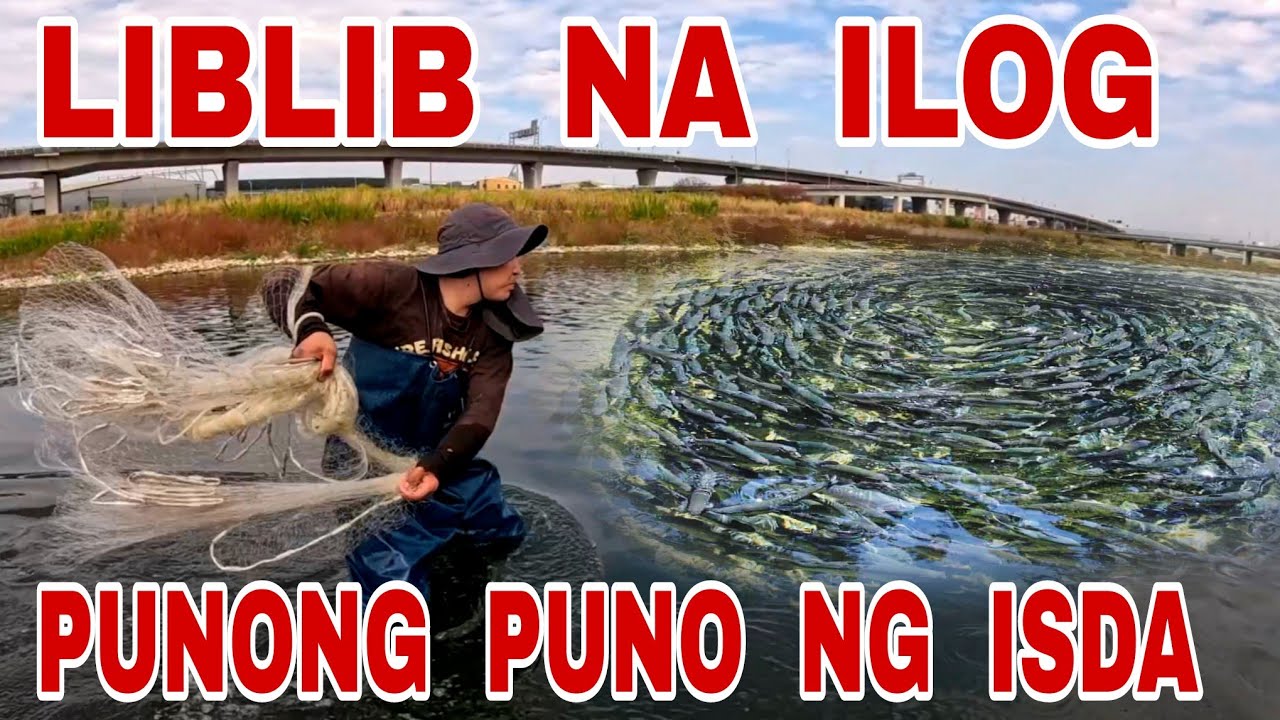 Malayong Lugar Pero Punong Puno Ng Isda