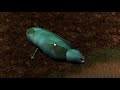 Forcing Sharks to Evolve By Taking Water Away - Species: Artificial Life, Real Evolution