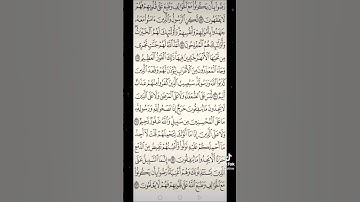 سورة التوبة صفحه في اليوم تسعد يومك بإذن الله تعالى#الابذكر_الله_تطمئن_القلوب #قران #qurankarim