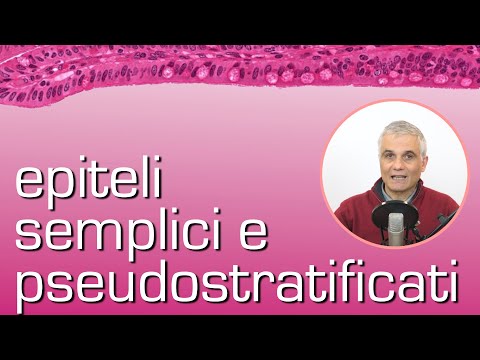 Epiteli semplici e pseudostratificati