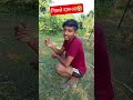 nikale daroga 🤣 #funny #comedy #sorts #trending #video #ekmotahathighumechala