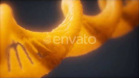 Loopable Structure of the DNA Double Helix Animation | Motion Graphics - Envato elements