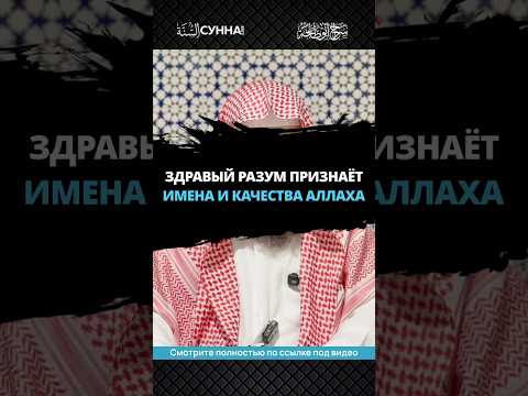 Здравый разум признаёт имена и качества Аллаха || Сирадж Абу Тальха