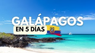 Islas GALÁPAGOS en 5 días: atractivos y playas 🐢🇪🇨🐙🐋🦈