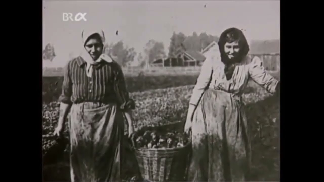 26. Klimawandel9000; Donaumoos