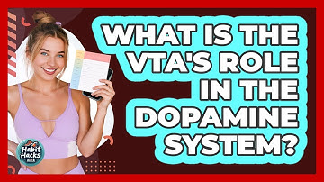 What Is The VTA