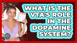 What Is The VTA's Role In The Dopamine System? - Habit Hacks Hub