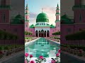 صيد الطيور بالفخ#beautiful #islamicmusic #islamicmusic #love #lifeisbutadream