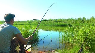 Рыбалка на Змеином Озере, Поплавок 2020
