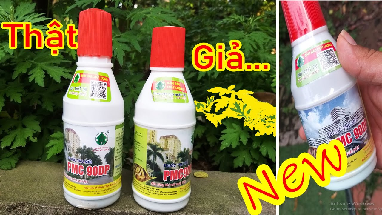 Phân biệt thuốc diệt mối PMC 90 DP thật và thuốc diệt mối PMC 90 DP giả || Thuốc Diệt Mối Tốt Nhất