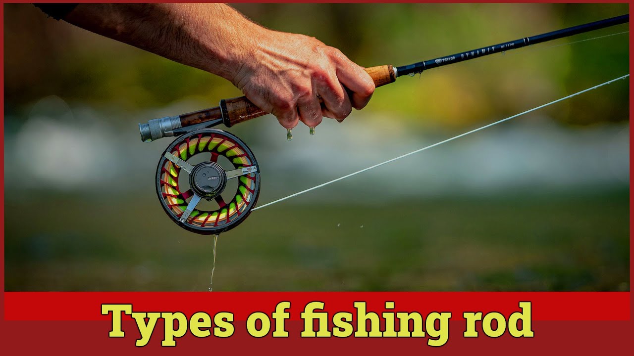 Types of Fishing Rod 