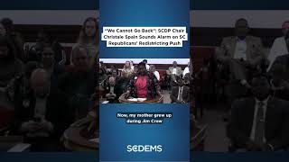 “We Cannot Go Back” SCDP Chair Christale Spain Sounds Alarm on SC Republicans’ Redistricting Push