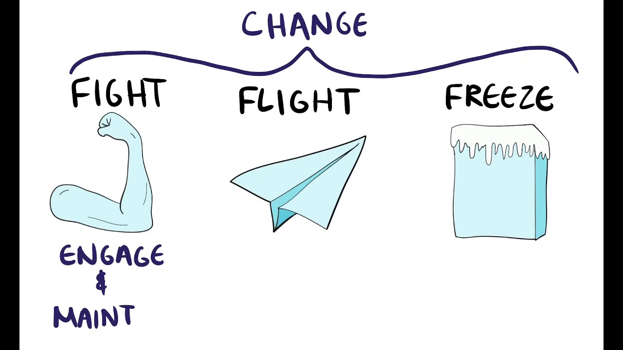 Adapting the Fight, Flight or Freeze Response - YouTube