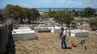 From Grave Markers to Unmarked Graves  Archaeological Insights of Historic Cemeteries