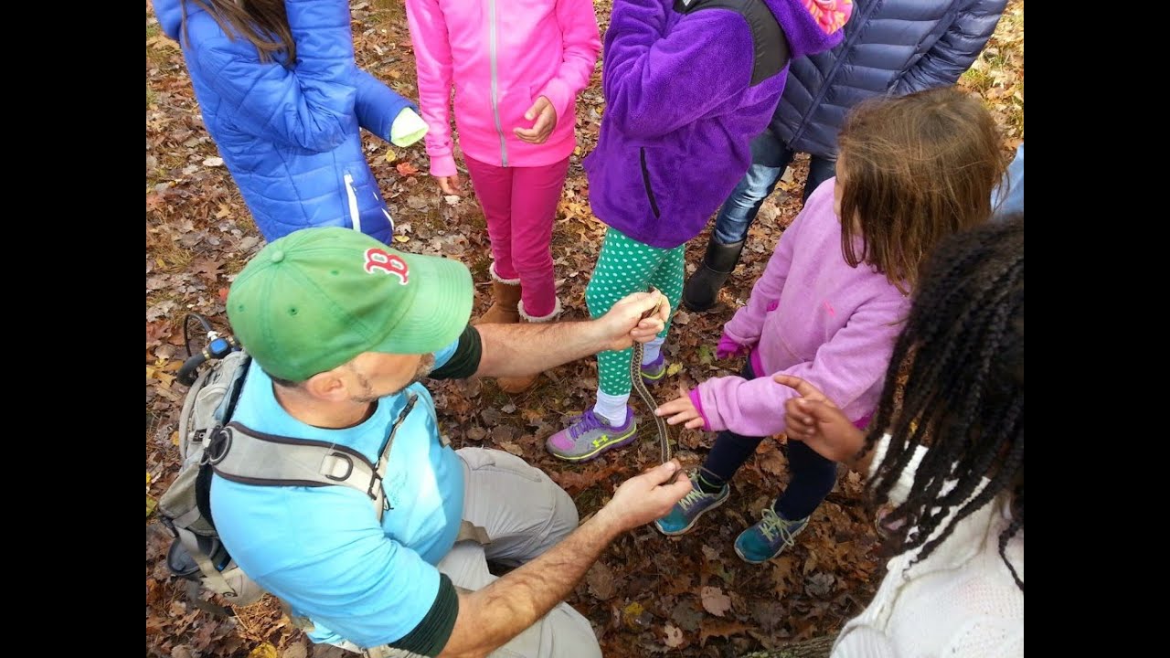 Grassroots Wildlife Conservation - Preserving Living Treasures in Our Backyard