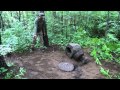 Wolf Patrol Finds Bear Bait Site - Douglas County, WI 7/7/2015