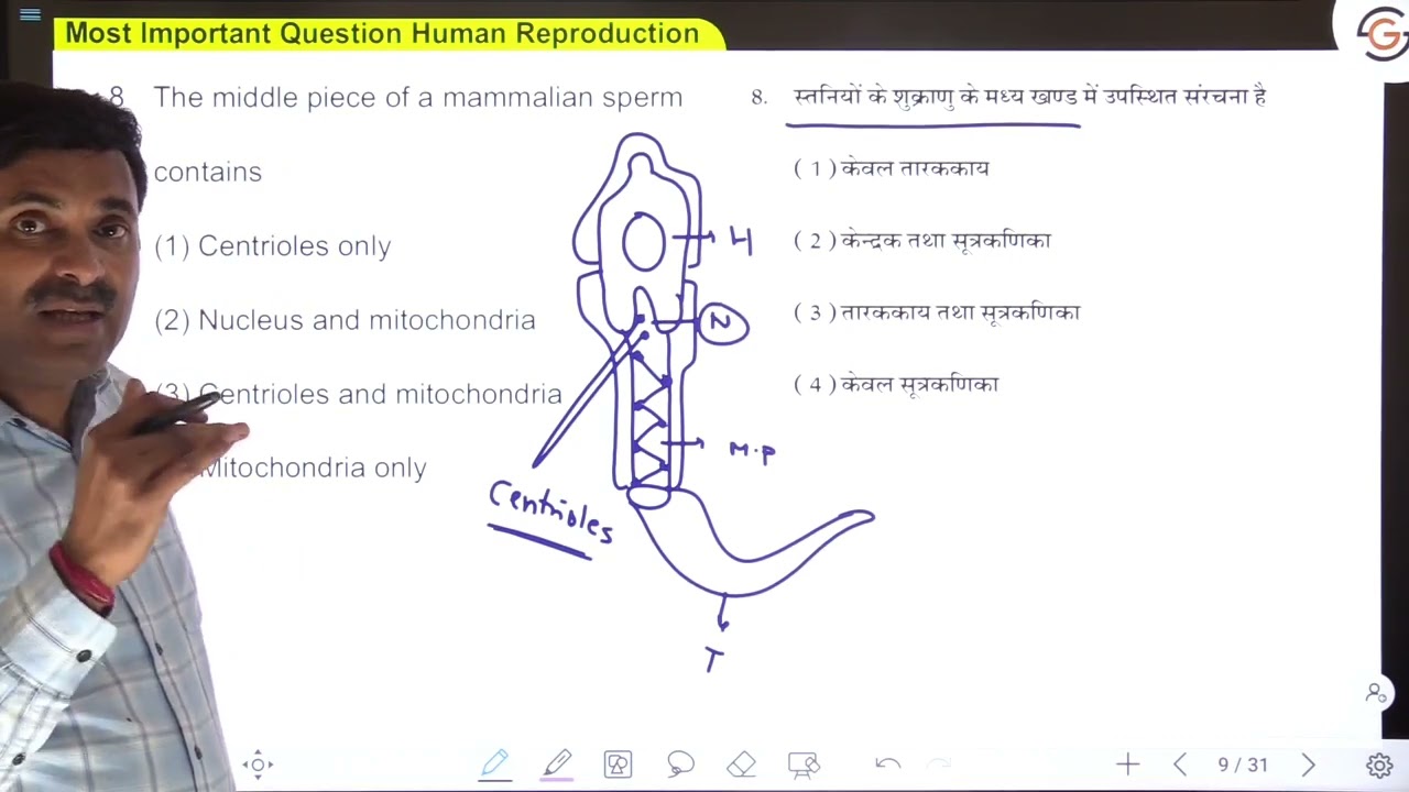 MOST IMPORTANT QUESTIONS ON HUMAN REPRODUCTION (Part-2) | Dr. N.S. JAIN