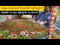 Hardworking Couple Selling Amritsari Nutri Kulcha || Delhi Street Food