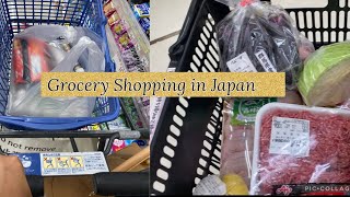 Ep.35  Grocery Shopping at Mega Don Quijote and Akakabe Drug Store