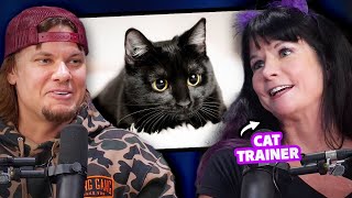 Are Cats Mean or Just Misunderstood?