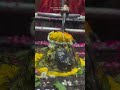 #omkareshwar #shiv #viral #trendingshorts