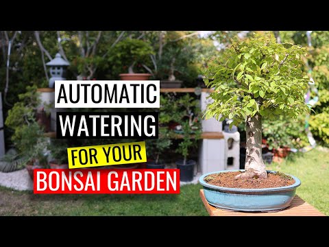 Video: Automatic Watering. Part 2