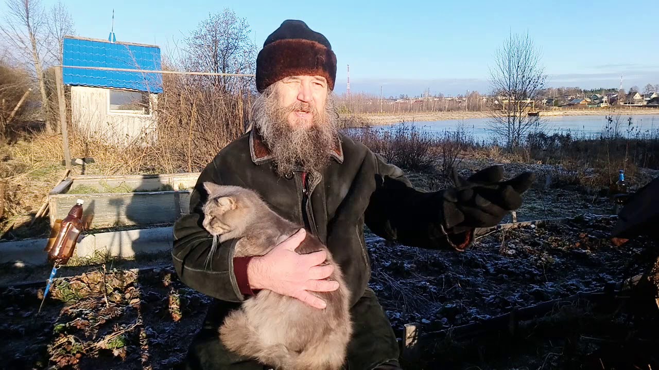 Куда уходит душа животных (следите за котом)