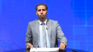 Warka Universal TV 16 10  2022