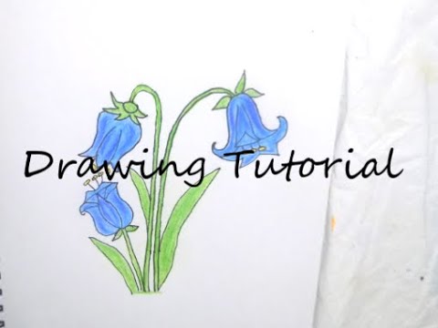 How To Draw A Bluebell Flower Easy Steps Flower Drawing Youtube