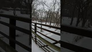 Sleet and Snow in Silver Spring, Maryland