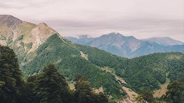 تلاوة بالمقام العراقي في قمة الجمال والعذوبة