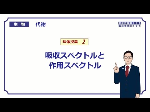 【高校生物】　代謝2　吸収スペクトルと作用スペクトル（１７分）