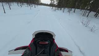 Winter Solitude | Exploring the frozen wild