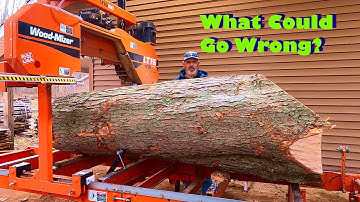 Beautiful Ambrosia Maple on the sawmill