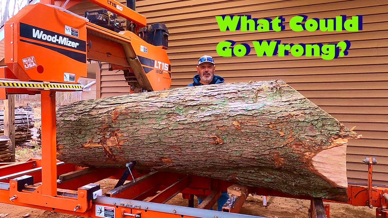 Прекрасный клен амброзия на лесопилке