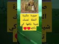 صورة مكبرة النملة تمسك شيئا بكفها كي تأكله اكسبلور النسويه صورة مكبرة النملة تمسك شيئا بكفها كي تأكله اكسبلور النسويه