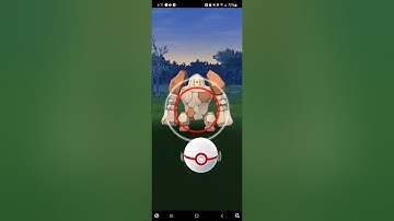 The road to 3 excellent throws in a row. . . #pokemon #pokemongo