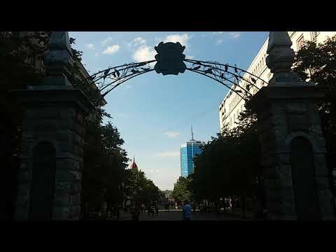 Video: In Der Region Tscheljabinsk Sah Bigfoot - Alternative Ansicht