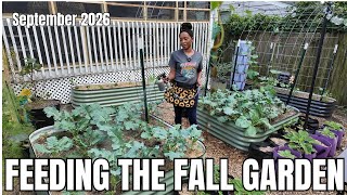 Finally Fertilizing the Garden | A Quicker Way to Fertilize Weekly