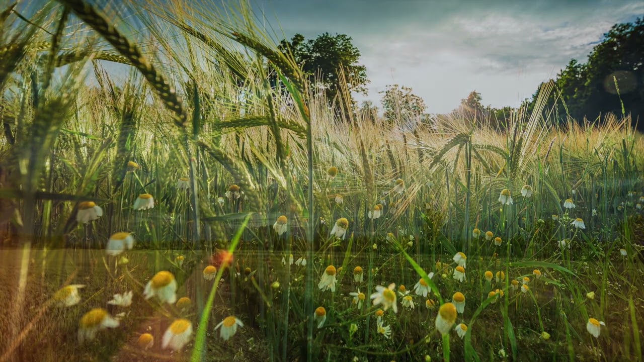 listening inwards - Andreas Broger & ElaF