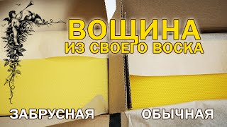 Вощина из своего воска от voskofabrika, Пасека Старчевских, Сибирь