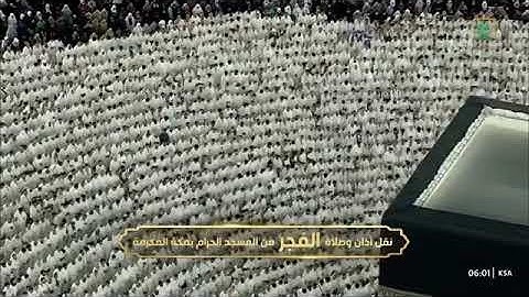 ' فواتح سورة طه  ١ - ٥٥ ' الشيخ #ماهر_المعيقلي  صلاة الفجر  ٦-٧-١٤٤٥ هـ