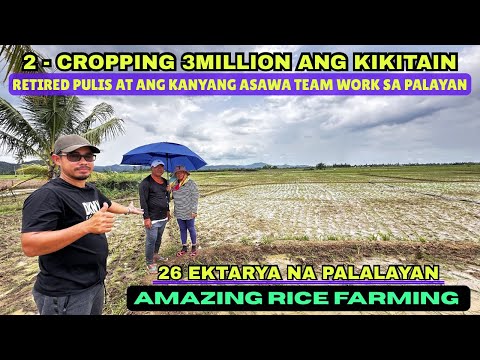26 EKTARYA NA PALAYAN, 2’Cropping 3Million Ang Kikitain, Retired Pulis At asawa Team Work Sa Palayan