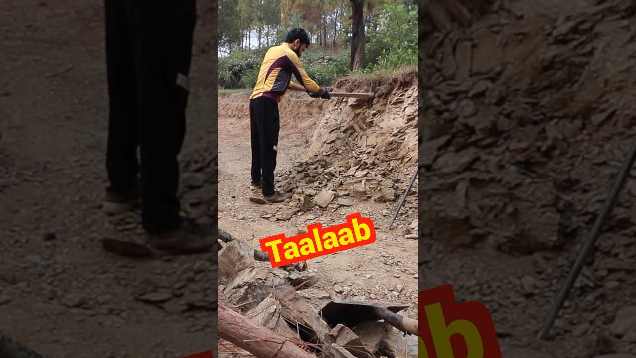 {233}: He is Digging a POND Alone || dob, uttrakhand #mission1million