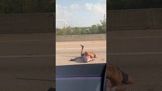 MOTORCYCLE CRASH HTX