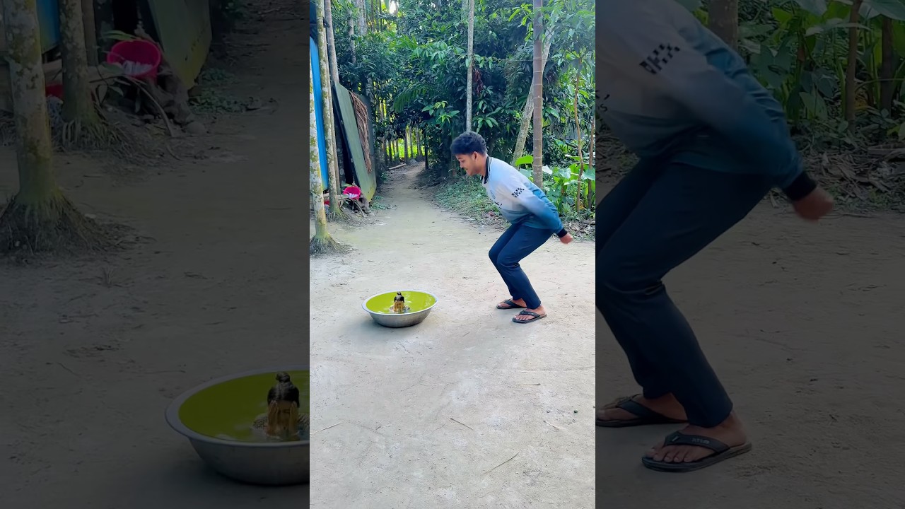 বউ এতো ছোটো জায়গায় কিভাবে ঢুকলো 😀 #funny #comedyvideos #shorts