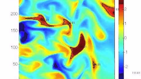 Video tracking of turbulent structures in tokamak