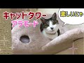 Mauキャットタワーがやってきた！